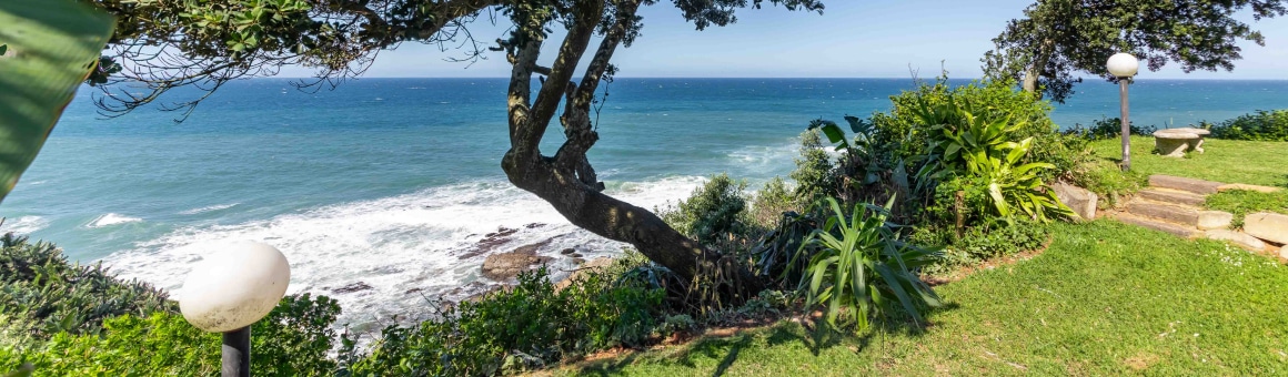 Ocean Front View